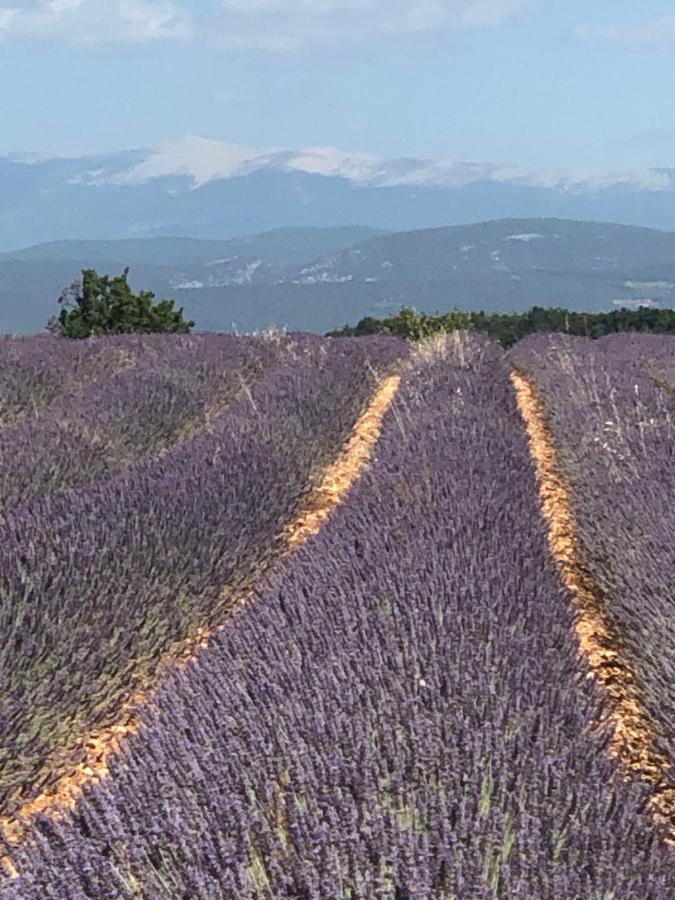 Provence Luberon Bonnieux Location Gite Chez Marcelle Bagian luar foto